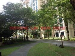 Spring Grove (D10), Condominium #104842532